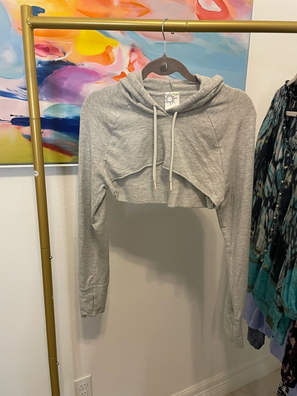aerie Light Gray Cropped Hoodie